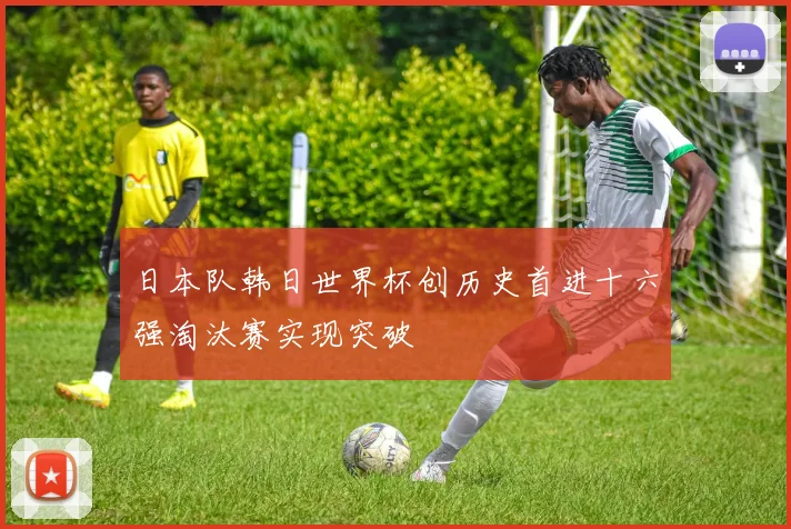 日本队韩日世界杯创历史首进十六强淘汰赛实现突破