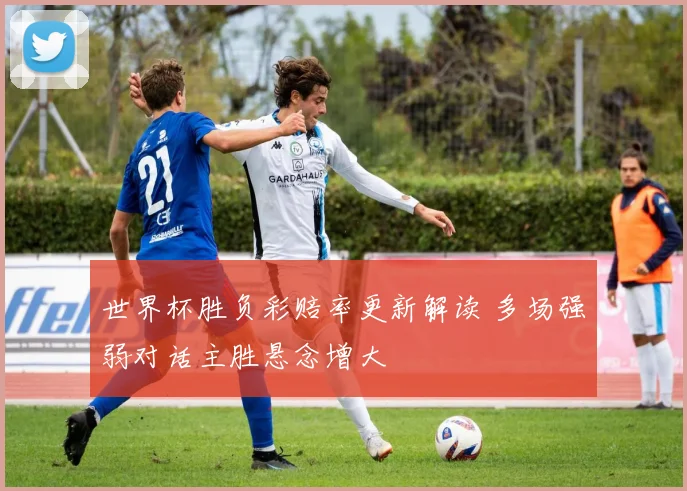 世界杯胜负彩赔率更新解读 多场强弱对话主胜悬念增大