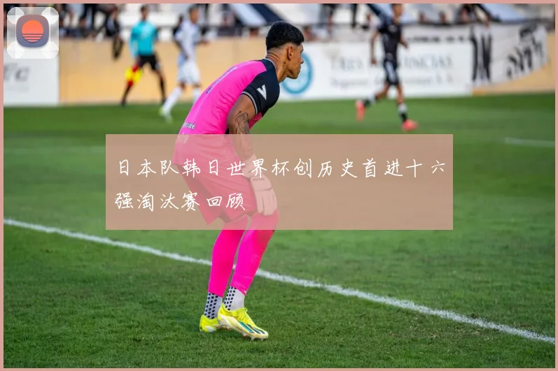 日本队韩日世界杯创历史首进十六强淘汰赛回顾