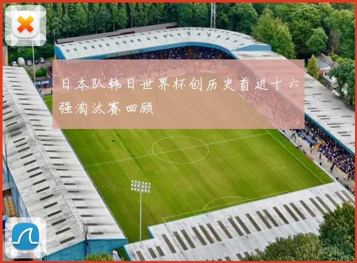 日本队韩日世界杯创历史首进十六强淘汰赛回顾