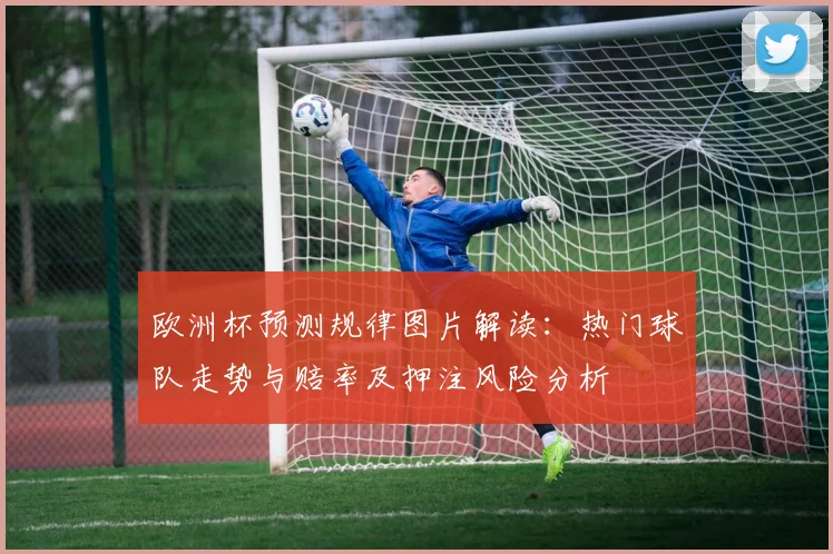 欧洲杯预测规律图片解读：热门球队走势与赔率及押注风险分析