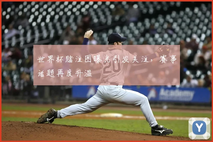 世界杯赌注图曝光引发关注,赛事话题再度升温