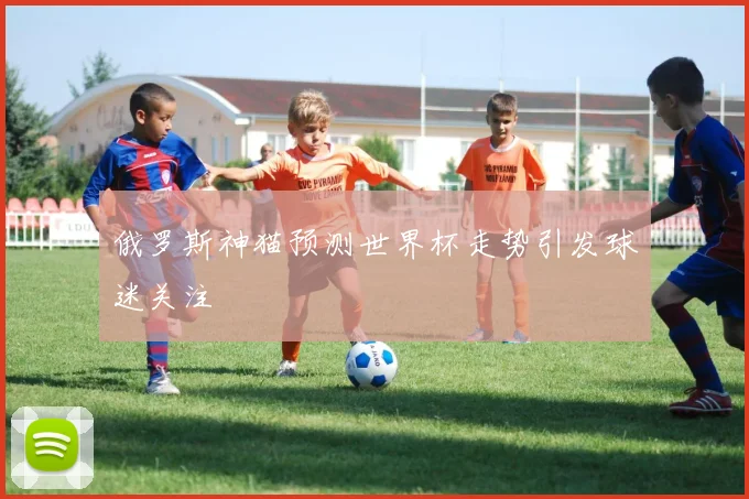 俄罗斯神猫预测世界杯走势引发球迷关注