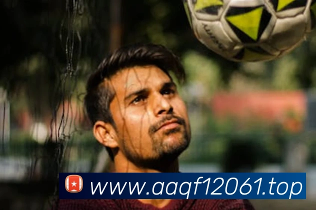 世界杯在线无插件直播服务体系